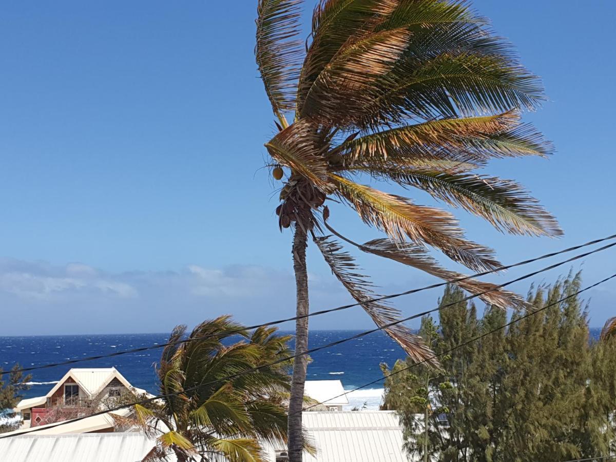 Le Reve Tropical 974 Apartment Trois Bassins Exterior foto